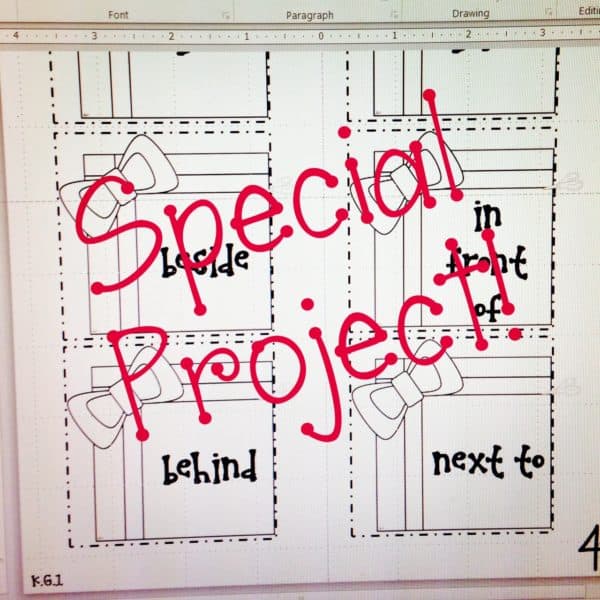 Special Project